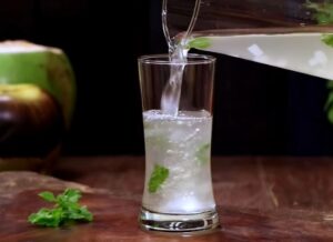 Tender Coconut and Ice Apple Drink