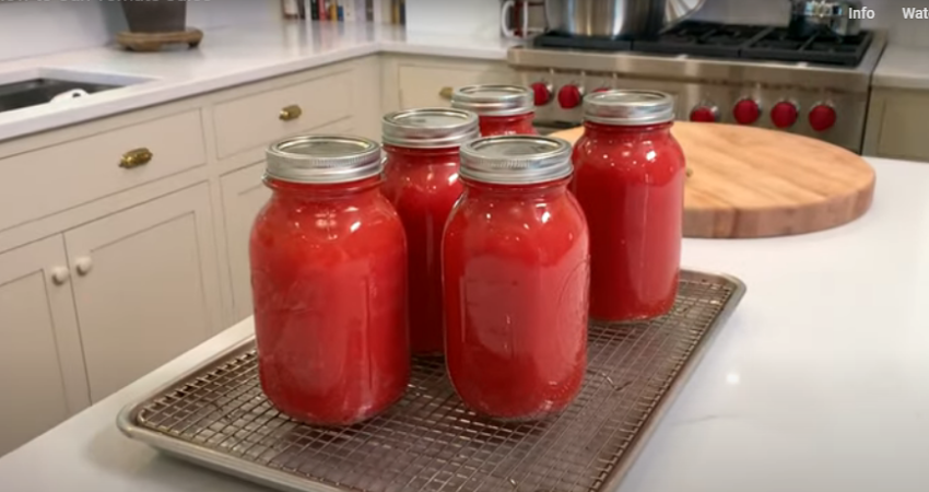 Tomato juice recipe